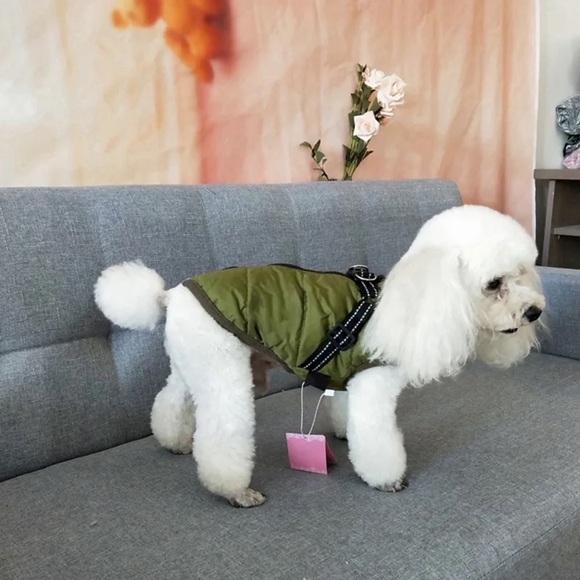 Dog green Waterproof Jacket With Harness - Picture 3 of 8